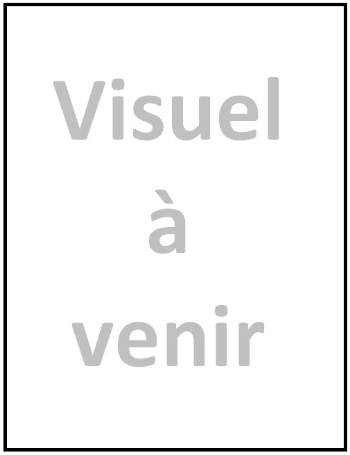 Le pont du Rhône à Lyon